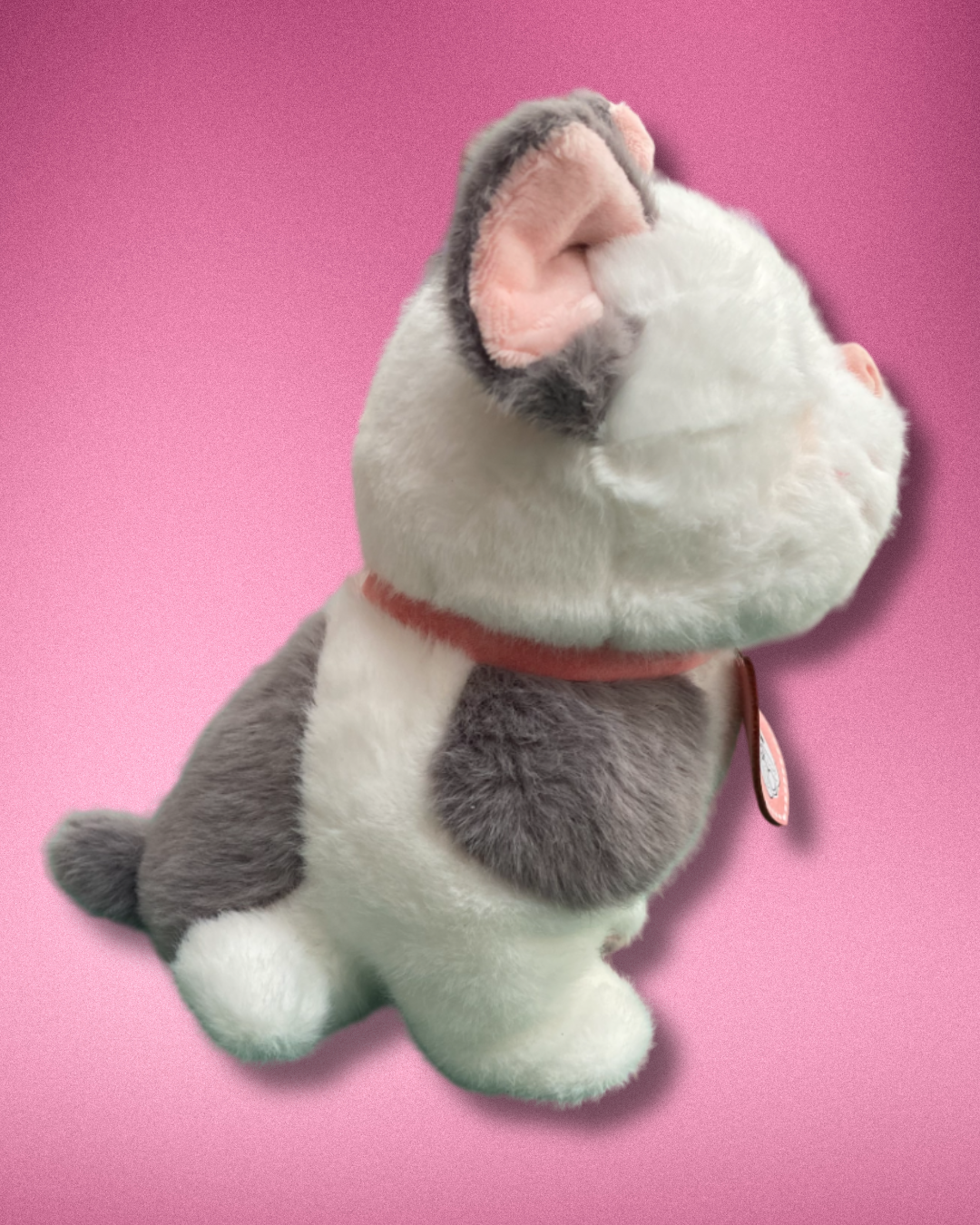 Perrita Bulldog Pam