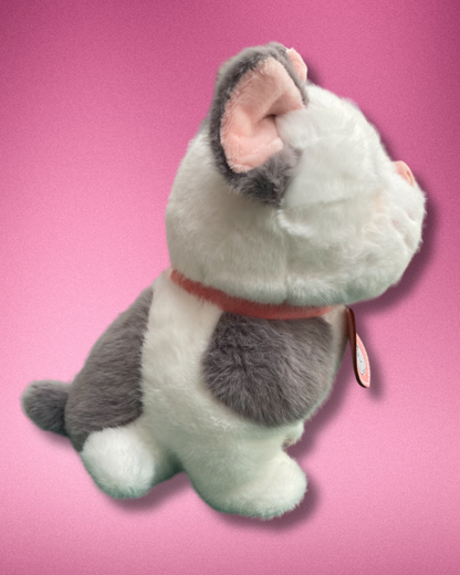 Perrita Bulldog Pam